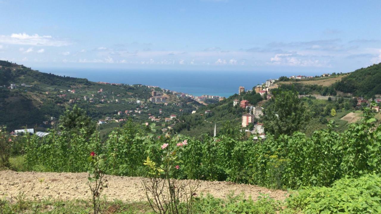Sea & Nature Villa Hisar Trabzon Exteriér fotografie