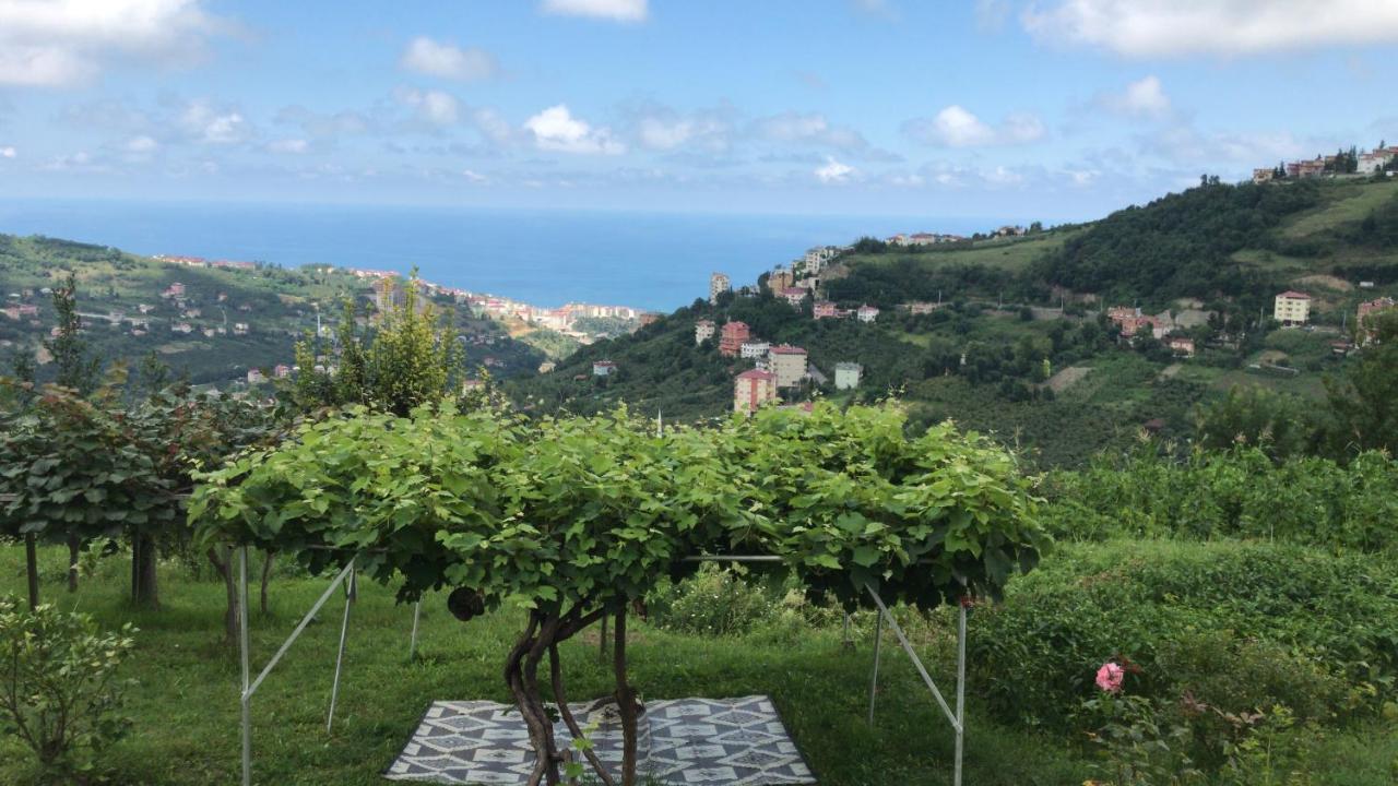 Sea & Nature Villa Hisar Trabzon Exteriér fotografie