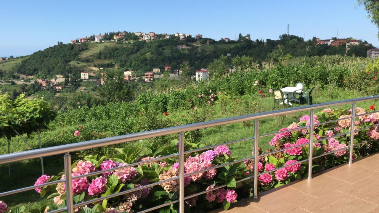 Sea & Nature Villa Hisar Trabzon Exteriér fotografie